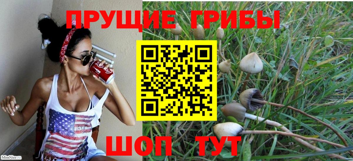 Псилоцибиновые грибы Magic Shrooms Ижевск