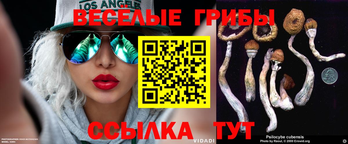купить закладку  Псилоцибиновые грибы прущие грибы  Вход с VPN  Ижевск 