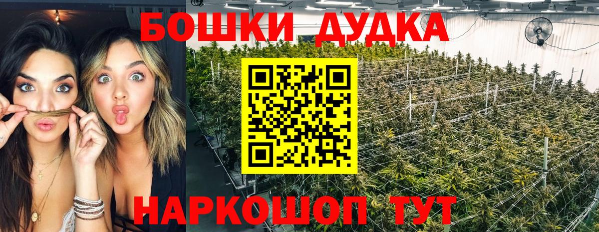 Бошки марихуана конопля Ижевск